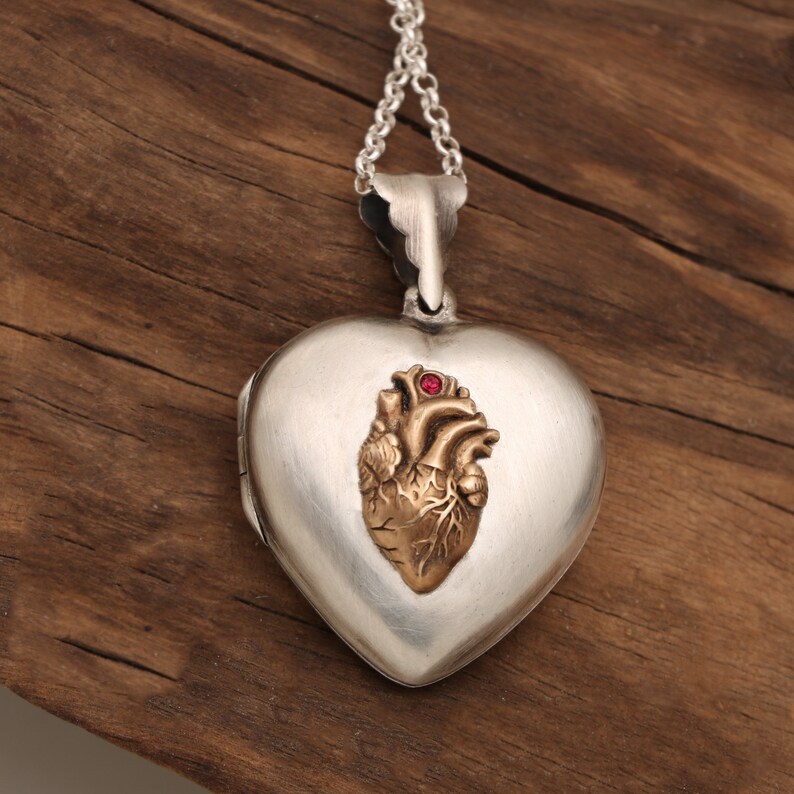 May include: A silver heart-shaped locket with a gold anatomical heart design and a red gemstone in the center.
