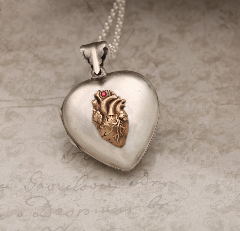 May include: Silver heart-shaped locket necklace with a gold anatomical heart charm and a red gemstone accent.