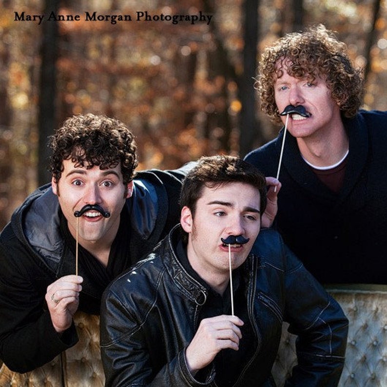 Mustache Photo Props The Celebrity Mix Set of 3 image 4