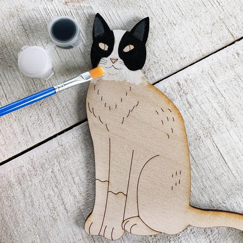 Cat Lovers Collection - Craft Kit for Kids & Adults - Etsy