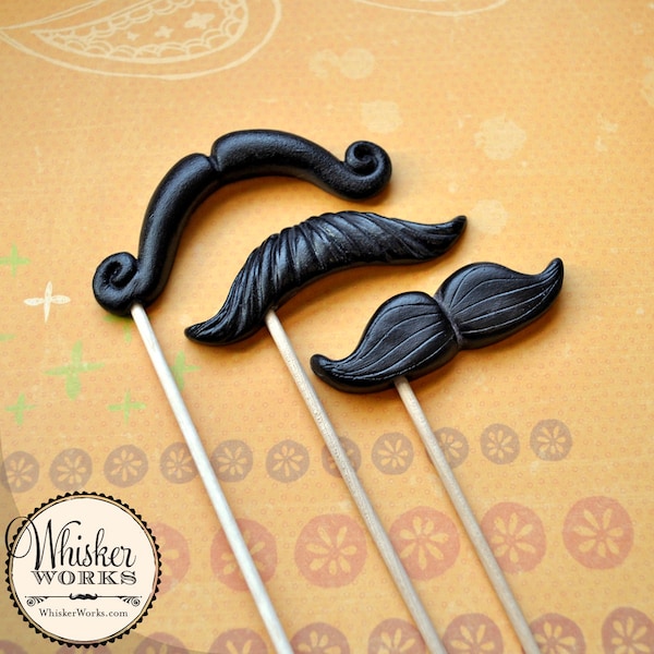 Mustache Photo Props - The Celebrity Mix - Set of 3