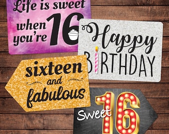 Sweet 16 Mix - Plastic Photo Booth Phrases - Set of 2 colorful signs
