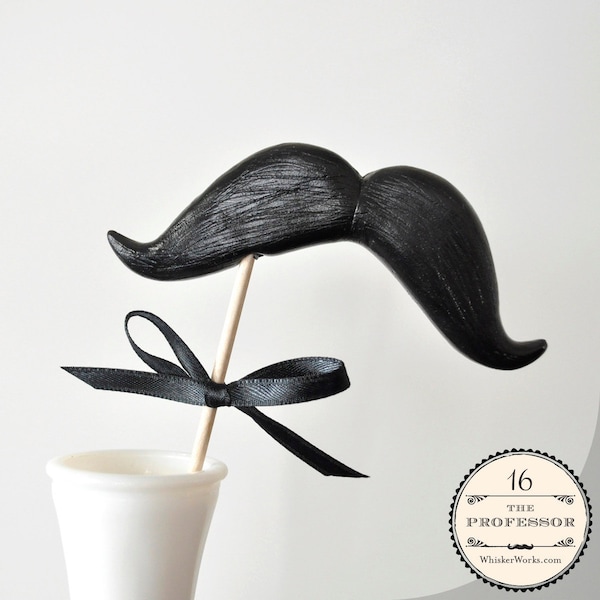 Mustache on a Stick - Photo Booth Prop - The Professor