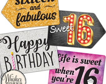 Sweet 16 Mix - Plastik Photo Booth Sätze - Set von 2 bunten Schildern