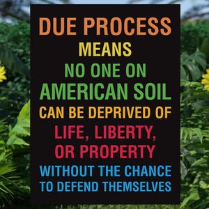 Due Process Protest Sign: Democracy, Anti-Authoritarian Art (Digital Download)