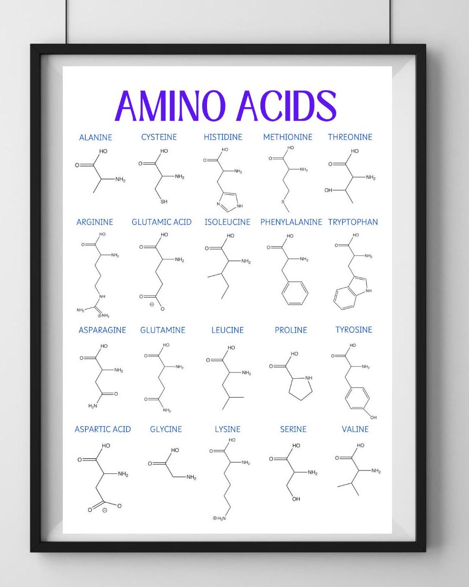20 Amino Acids Wall Art - Digital Download, Molecular Structures Chart