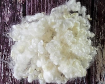 1oz Blueface Leicester/BL cross. Curly Felting locks, "Jasmine" White Santa Beards, felting spinning wool fiber 3-4in lustrous locks A5219