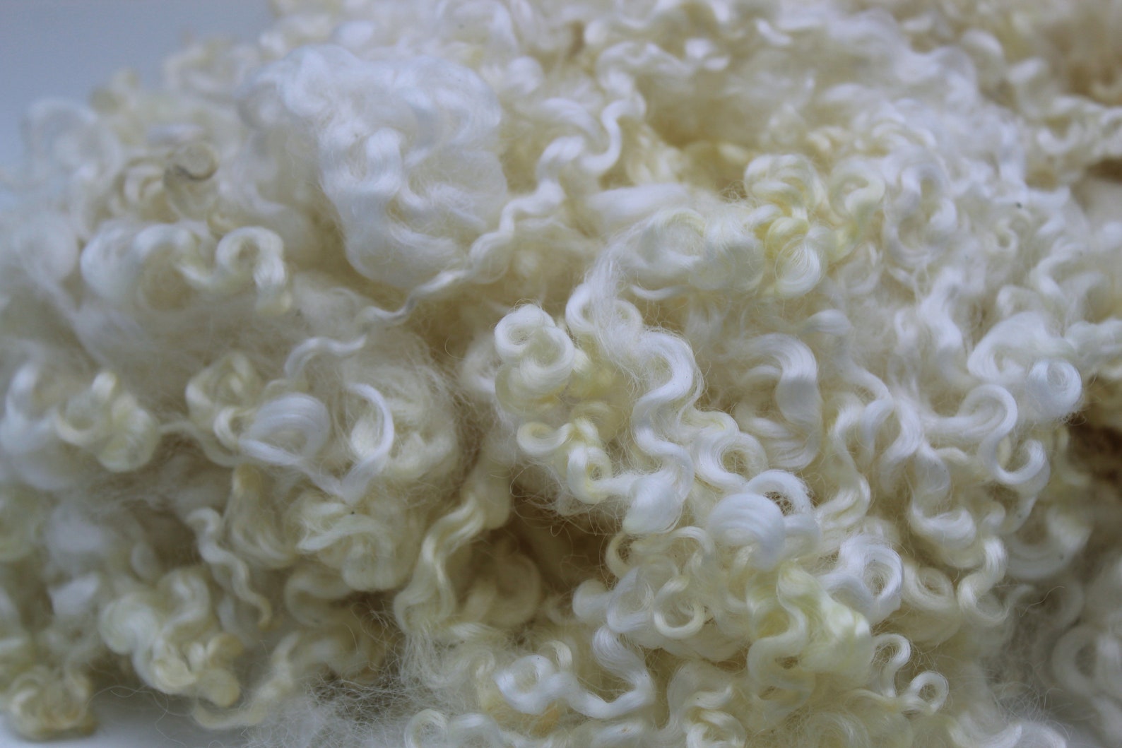 1 Oz Wensleydale/bl Curly Locks Curly Felting Locks Etsy