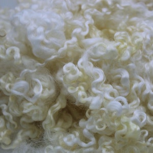 1 oz Wensleydale/BL curly locks, Curly Felting locks, &quot;Buddy&quot; White Santa Beards, felting spinning wool fiber 4in, lustrous locks A72021