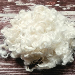 May include: A cluster of raw, off-white sheep wool locks featuring a distinct curly texture. The fibers are soft and voluminous, arranged in a loose, rounded pile that showcases the natural, spiraled structure of the individual wool strands.