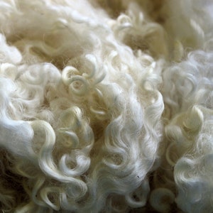 1oz Blueface Leicester curly locks, Curly Felting locks, &quot;Jasmine&quot; White Santa Beards, felting spinning wool fiber 4in+ lustrous locks A5219