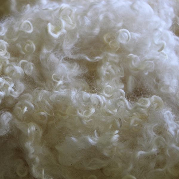 1oz Blueface Leicester curly locks, Curly Felting locks, "Jasmine" White Santa Beards, felting spinning wool fiber 4in, lustrous locks A5219