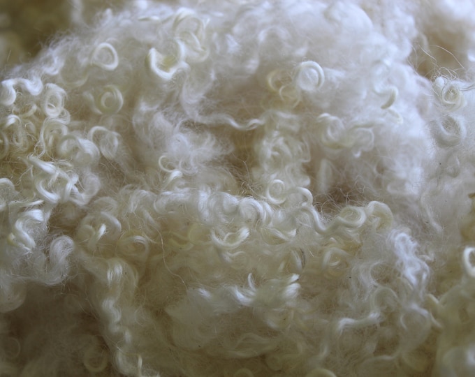1oz Blueface Leicester Curly Locks, Curly Felting Locks, jasmine White