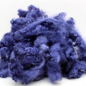 1oz Deep Blue Border Leicester Lamb Wool Locks: 4-inch Felting Spinning Fiber