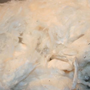 2oz. Organic ginned natural cotton, Cotton fiber, spinning cotton, stuffing cotton, White cotton, Carding cotton, craft cotton A101321