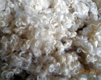 1oz  Border Leicester big creamy white wool locks. Craft fiber washed, for Santa Beards, felting. 6inches Long and lustrous and curly A92623