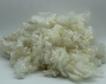 1oz. Border Leicester natural white lamb wool locks. Border Leicester lamb wool fiber 3-5inch, soft wool, lustrous A11622