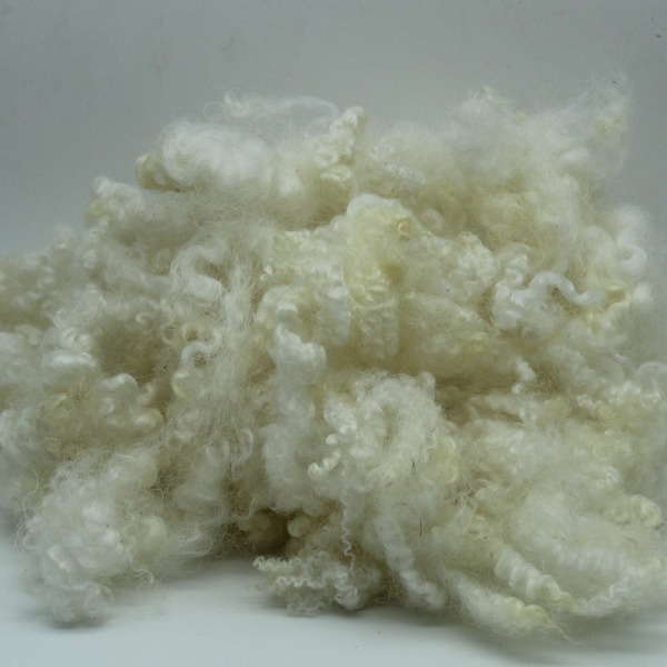 1oz. Border Leicester natural white lamb wool locks. Border Leicester lamb wool fiber 3-5inch, soft wool, lustrous A11622