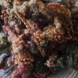 May include: Close-up of a pile of colorful, textured wool roving. The fibers are a mix of earthy tones, including shades of brown, orange, green, and pink. The wool has a curly, crimped texture, ideal for fiber art projects.