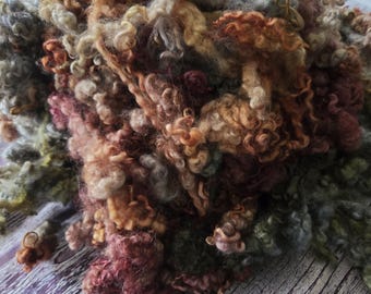 1oz Dyed "Forest Landscape", Border Leicester/BFL cross. Curly Felting locks, felting spinning wool fiber 4in+ lustrous locks B12625