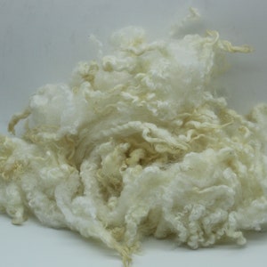 1oz Wensleydale/BL white wool lamb locks. Curly Felting locks, White Santa Beards. felting wool fiber 3.5-4in, lustrous locks A112622