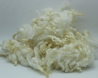 1oz Wensleydale/BL white wool lamb locks. Curly Felting locks, White Santa Beards. felting wool fiber 3.5-4in, lustrous locks A112622