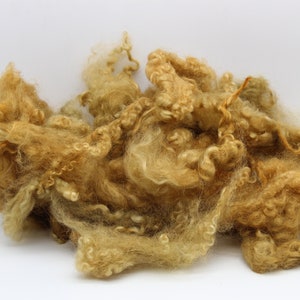 1oz. Olive Border Leicester wool for felting or spinning. wool fiber, 3-5+in. stretched. Great for Lion Manes or felting. spinning A21522