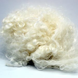 1oz. Teeswater white wool locks with creamy tips. Soft white clouds of locks for spinning or felting locks 6+ inch, soft and lustrous A11825