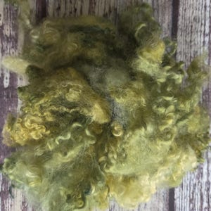 1 oz Mixed Lichen Green Border Leicester Wool Lamb Locks: 4" Felting Spinning Fiber