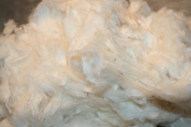 Cotton Organic ginned natural cotton Cotton fiber1oz. Etsy