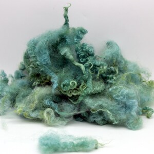 1oz Border Leicester Aqua colored wool locks. Curly locks, wool locks 4+ inches, for special felting or spinning projects, A11025