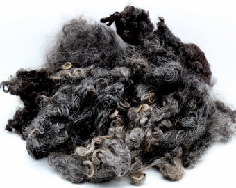 2oz. Wensleydale X Natural Mixed gray wool locks. Wool locks for felting, spinning, doll locks, Blythe doll, 5-6in. soft, lustrous A72223