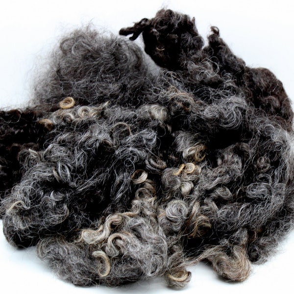 1oz. Natural mixed Wensleydale Charcoal wool locks. Wool locks for felting, spinning, doll locks, Blythe doll, 5-6in. soft, lustrous A9122