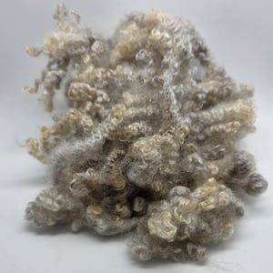 May include: A pile of raw, unprocessed wool fibers. The wool is a mix of gray, beige, and light brown colors. The fibers have a curly, crimped texture, suggesting it is suitable for spinning or felting projects.