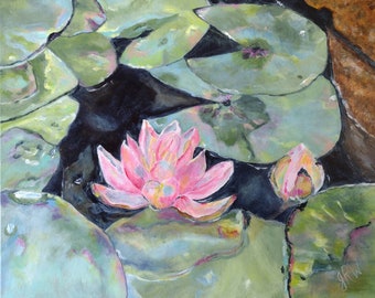 May include: A pink water lily with green lily pads in a pond. The water lily is in focus and the lily pads are out of focus.