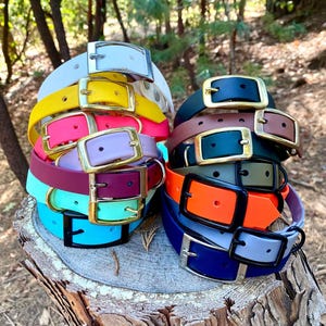Waterproof Classic Collar | Choose Your Color | Built with BioThane®