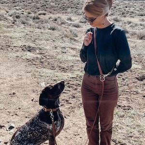 May include: A brown and white spotted dog wearing a brown leather collar and leash. The dog is sitting and looking up at a person. The person is wearing a dark green long-sleeve shirt and brown pants. A brown leather leash is attached to the dog's collar.