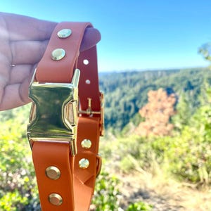 Waterproof Quick Release Collar | Choose Your Color(s) | Built with BioThane®