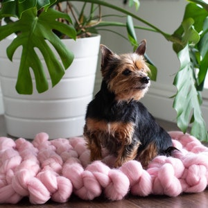 Puede incluir: Un pequeño Yorkshire Terrier marrón y negro sentado en una cama de perro de punto rosa. El perro está mirando hacia la derecha de la imagen. Una gran planta verde en maceta está en el fondo.