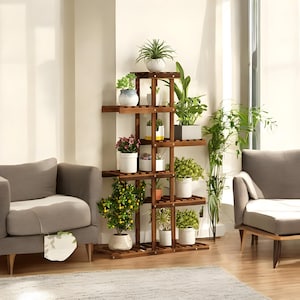 May include: A wooden plant stand with multiple shelves, featuring a variety of potted plants, including a small citrus tree, in a living room setting.