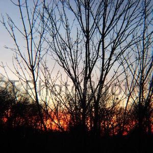 Winter Sunset