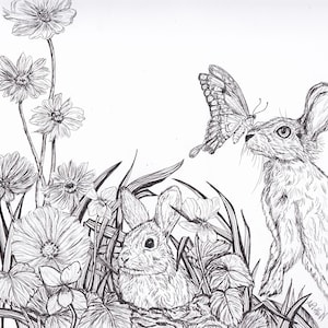 Original pen and ink illustration of two rabbits and a butterfly