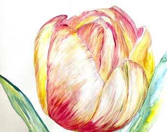 Original watercolor painting of tulip blossom
