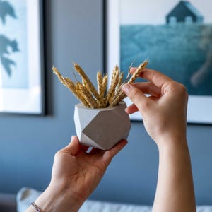 Minimal Concrete Planter – Geometric Cement Pots for Succulents & Moss | White or Grey