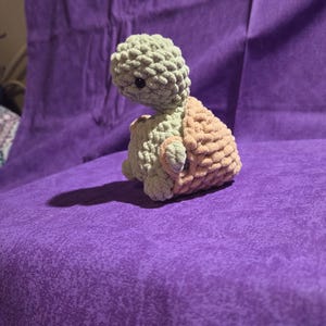 Crochet Cheeky Turtle