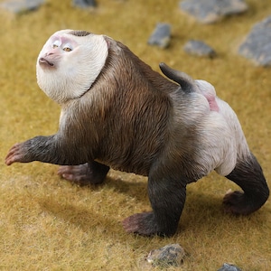 Op de afbeelding: Gedetailleerd beeldje van een makaak, met een wit gezicht en baard, bruine vacht en een roze-rode vlek op de achterkant. De aap wordt afgebeeld in een loopstand, met uitgestrekte armen en benen. Het beeldje staat tegen een achtergrond van droog gras en kleine rotsen.