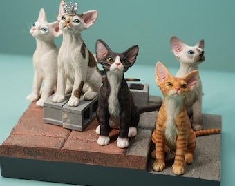 May include: A collection of five cat figurines in various colors and poses. One cat wears a silver crown. The cats are arranged on a brick and concrete base, with a teal background. The cats include white, brown, black, and orange tabby.