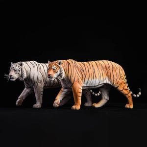 Op de afbeelding: Twee tijgerbeelden. Eén is wit met zwarte strepen, de andere is oranje met zwarte strepen. Beide lopen, hun hoofden zijn naar links gedraaid. De achtergrond is zwart.