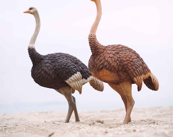 May include: Two detailed ostrich figurines stand on a sandy surface. One ostrich is primarily dark gray with white accents, while the other is brown. Both have long necks, small heads, and realistic feather textures.