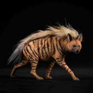 Op de afbeelding: Gedetailleerd beeldje van een gestreepte hyena, met een bruin lichaam en donkerbruine strepen. De hyena heeft een lichtgekleurde manen en staart, en staat in een wandelhouding tegen een zwarte achtergrond.